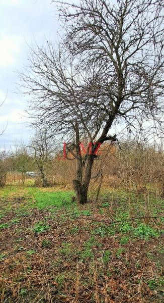 Staveb. pozemok, intravilán 1.382m2, šírka 24m, Levice