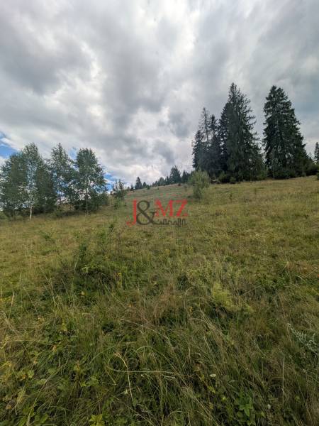 Čierny Balog - stavebný pozemok 