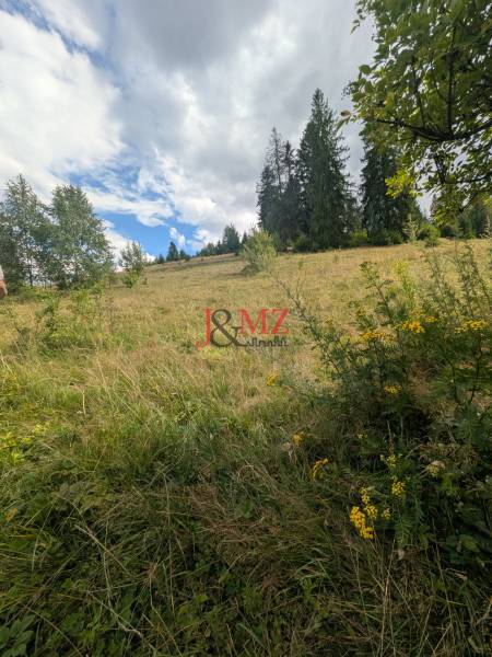 Čierny Balog - stavebný pozemok 