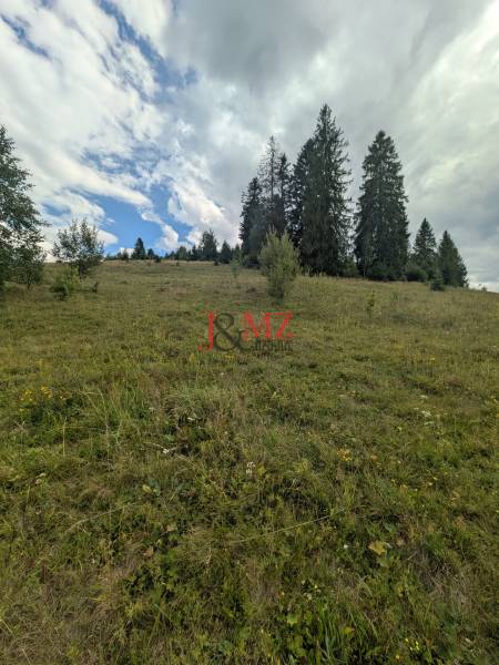 Čierny Balog - stavebný pozemok 