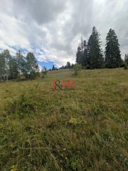 Čierny Balog - stavebný pozemok 