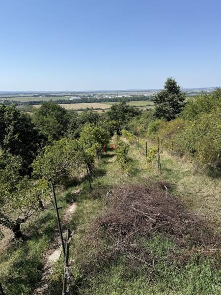 výhľad z balkónu 